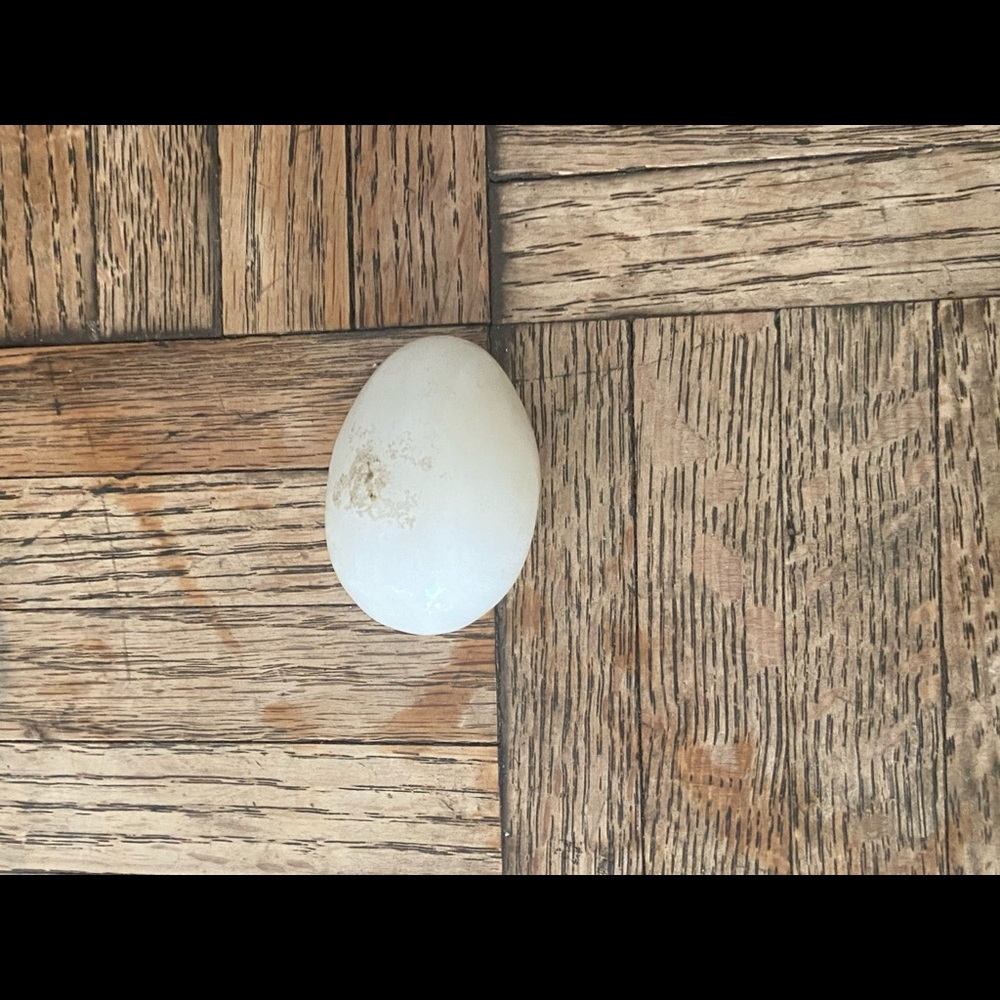 Alabaster egg